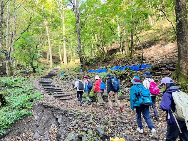 恩師が亡くなった御巣鷹山を登る卒業生ら＝群馬県上野村（提供写真）