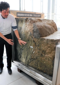 淡路市の野島断層保存館から取り寄せた断層の切り取り標本＝神戸市中央区脇浜海岸通１、人と防災未来センター