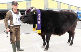 但馬牛の“兵庫チャンピオン”決定 肉牛の部、最優秀の名誉賞は