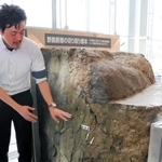 淡路市の野島断層保存館から取り寄せた断層の切り取り標本＝神戸市中央区脇浜海岸通１、人と防災未来センター