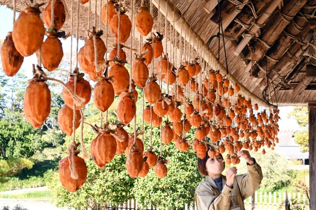 かやぶき屋根の家屋の軒先に干された渋柿＝７日午前、神戸市北区山田町藍那、あいな里山公園