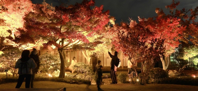 赤や緑色のライトに照らされ、幻想的な雰囲気となった和庭園＝神戸市須磨区東須磨１、市立須磨離宮公園（撮影・長嶺麻子）