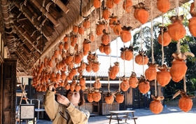 かやぶき屋根の家屋の軒先に干された渋柿＝７日午前、神戸市北区山田町藍那、あいな里山公園