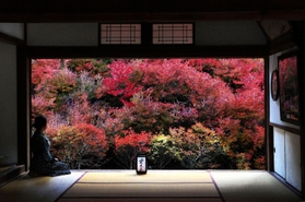 本堂裏に広がるドウダンツツジの紅葉＝７日午後、豊岡市但東町相田
