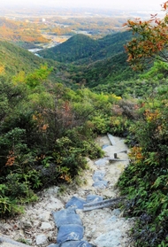 近本光司選手が駆け抜けた急なアップダウンの登山道＝加東市、三草山