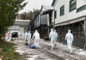 鳥インフルエンザ感染が確認された養鶏場で殺処分の作業に入る防護服姿の県職員ら＝１３日午前、たつの市内（兵庫県提供）