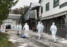 鳥インフルエンザが確認された養鶏場で防護服姿で作業する兵庫県の職員ら＝１３日午前、たつの市内（県提供）