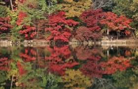 再度公園の修法ケ原池に映る紅葉も、訪れる人たちの目を楽しませている＝再度公園