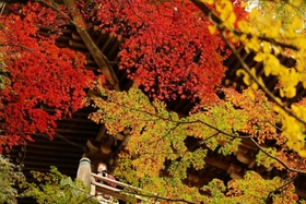 摩尼殿を覆うように鮮やかに色付く紅葉＝姫路市書写