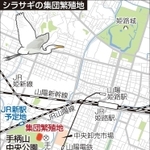 神戸新聞ＮＥＸＴ