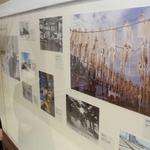 兵庫の海の魅力を伝えるヒョーゴアーカイブス展＝神戸市中央区下山手通４