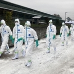 鳥インフルエンザ感染が確認された養鶏場で殺処分の作業に入る防護服姿の県職員ら＝１３日午前、たつの市内（兵庫県提供）