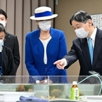 兵庫県水産技術センターで、水産教室をご覧になる天皇、皇后両陛下＝１３日午後、明石市二見町南二見（代表撮影）