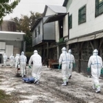 鳥インフルエンザが確認された養鶏場で防護服姿で作業する兵庫県の職員ら＝１３日午前、たつの市内（県提供）
