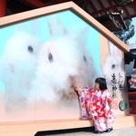 生田神社に奉納された来年のえと「卯」の大絵馬＝２８日午前、神戸市中央区下山手通１