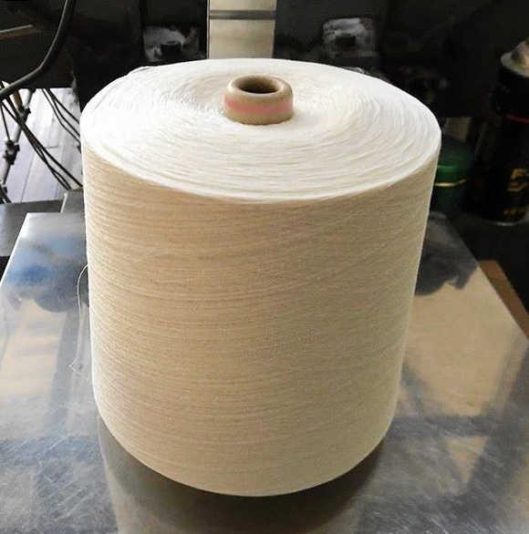 古紙や木材から作られた紙糸（神戸市提供）