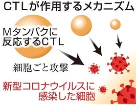 神戸新聞ＮＥＸＴ