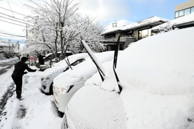 前日からの雪で車のフロントガラスも覆われた＝１９日午前、豊岡市寿町（撮影・岡本好太郎）
