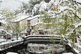 城崎温泉街の山気並木も雪化粧＝１９日午前、豊岡市城崎町湯島（撮影・岡本好太郎）