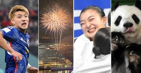 ⭐️チビ⭐️りくりゅう　上々の初戦　神戸新聞 8/18 記事 パリ五輪特集|神戸新聞NEXT