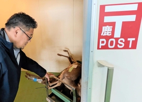 「鹿ポスト」に搬入された野生鹿。猟師らは２４時間、持ち込みできる＝兵庫県多可町加美区豊部