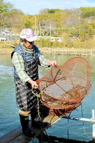 クルマエビの仕掛けを引き揚げる中村哲さん＝姫路市的形町的形
