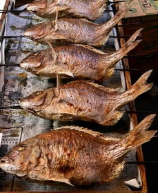 こんがり焼き上がったにらみ鯛＝明石市本町１、魚秀