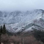 山頂付近から真っ白に雪化粧した氷ノ山＝１日午前、養父市内