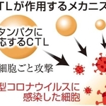 神戸新聞ＮＥＸＴ