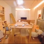 大地震に伴い、居住空間で本や家具が散乱する映像（防災科学技術研究所提供）