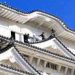 姫路城大天守の屋根に乗って清掃するレンジャー隊員＝姫路市本町