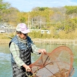 クルマエビの仕掛けを引き揚げる中村哲さん＝姫路市的形町的形