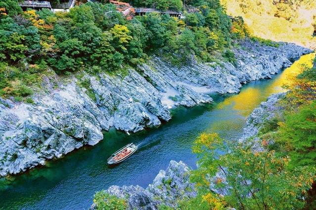 国指定の天然記念物・名勝である大歩危の渓谷美＝徳島県三好市（提供写真）