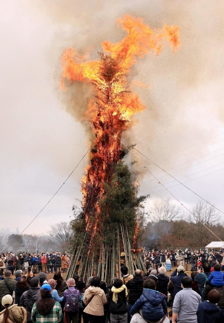 勢いよく火が立ち上ったとんど焼き＝１５日午前、神戸市北区山田町、同市立森林植物園