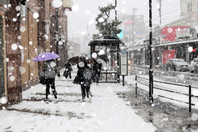 雪が激しくなってきた豊岡市街地＝２４日午後、豊岡市大手町周辺
