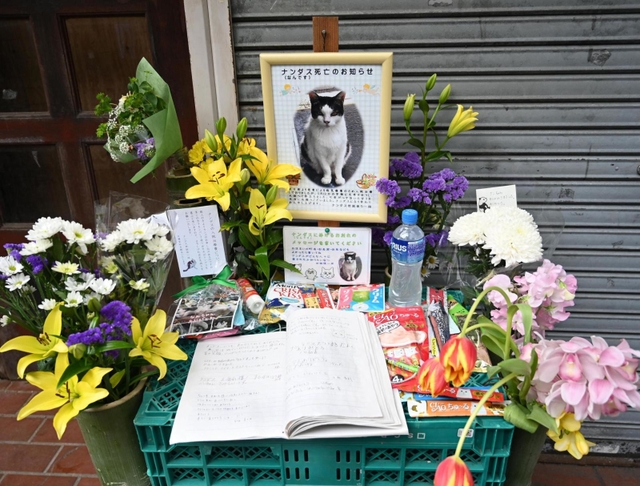 近所の人に愛されていた地域猫のナンダスのために作られた祭壇＝神戸市垂水区塩屋町３