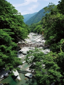 国指定の重要有形民俗文化財である祖谷のかずら橋＝徳島県三好市（提供写真）