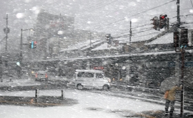 強風と雪に見舞われた市街地＝２４日午後、豊岡市大手町周辺