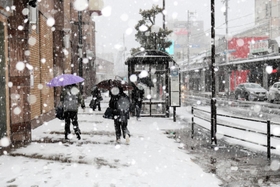 雪が激しくなってきた豊岡市街地＝２４日午後、豊岡市大手町周辺