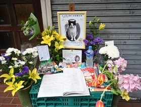 近所の人に愛されていた地域猫のナンダスのために作られた祭壇＝神戸市垂水区塩屋町３