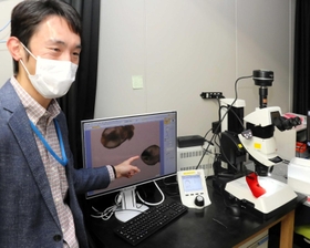 哺乳類の体が左右非対称になるメカニズムについて説明する加藤孝信研究員＝神戸市中央区港島南町２、理化学研究所生命機能科学研究センター