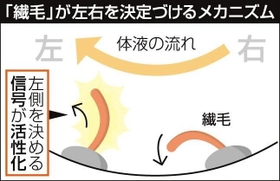 神戸新聞ＮＥＸＴ