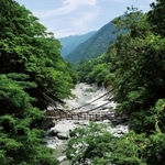 国指定の重要有形民俗文化財である祖谷のかずら橋＝徳島県三好市（提供写真）