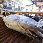 大マグロに手を合わせる参拝者ら＝８日午前、西宮市社家町、西宮神社