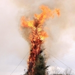 勢いよく火が立ち上ったとんど焼き＝１５日午前、神戸市北区山田町、同市立森林植物園