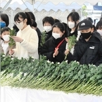 １１・１６　芦屋市・芦屋公園