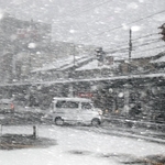 強風と雪に見舞われた市街地＝２４日午後、豊岡市大手町周辺