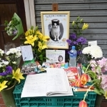 近所の人に愛されていた地域猫のナンダスのために作られた祭壇＝神戸市垂水区塩屋町３