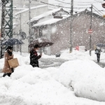 大雪となった豊岡市街地。道路脇には除雪された雪が積み上げられた＝２８日午後、豊岡市寿町