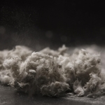 アスベスト（sakura／stock.adobe.com）